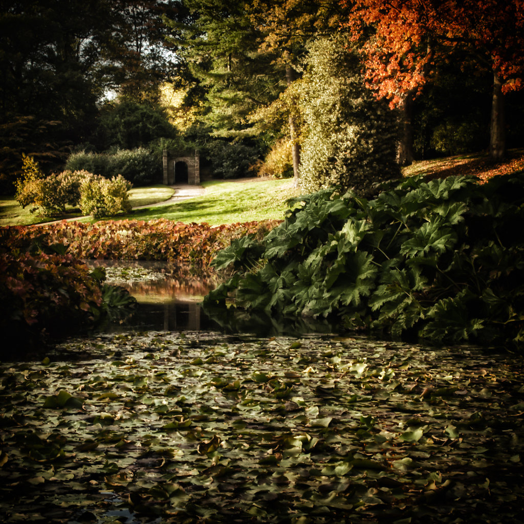 Cholmondeley Castle Gardens